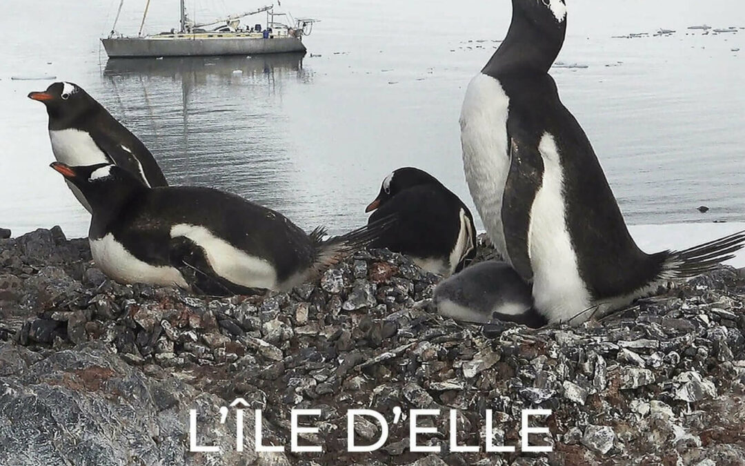L’Île d’Elle in Antarctica
